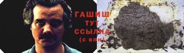 спиды Богданович