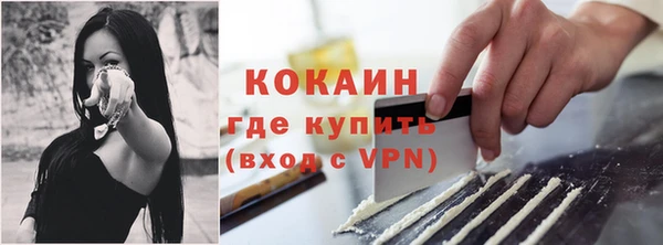 спиды Богданович