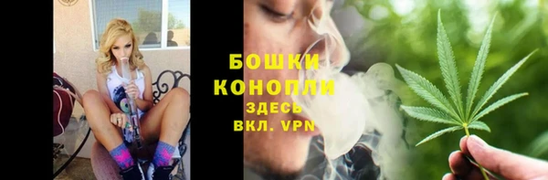 соль ск Верхний Тагил