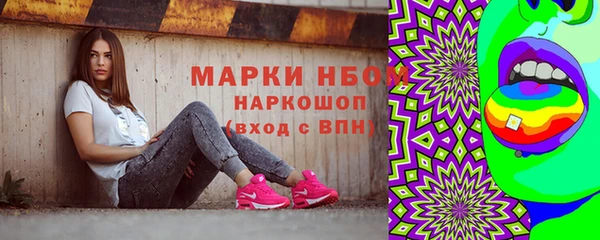соль ск Богородицк
