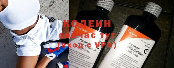 спиды Богданович