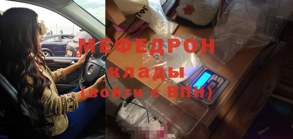 спиды Богданович