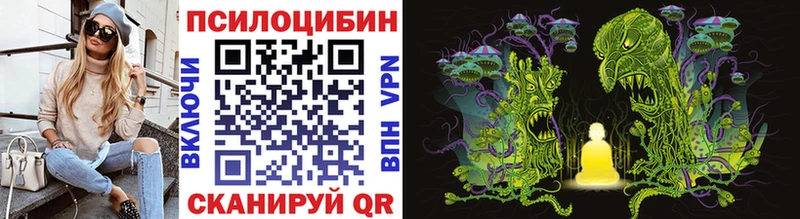 купить наркотик  Кимры  Галлюциногенные грибы мицелий 